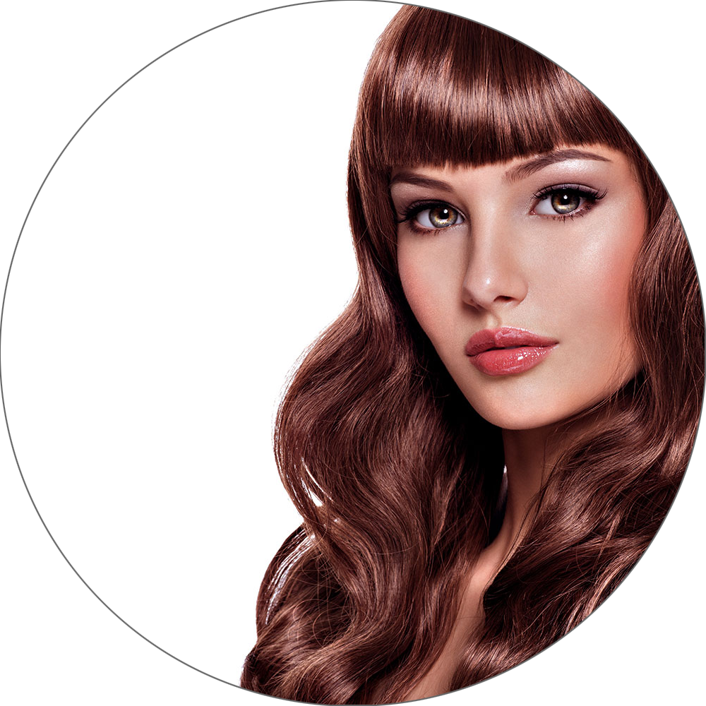 Clip-in Extensions - #33 Mahogany Brown
