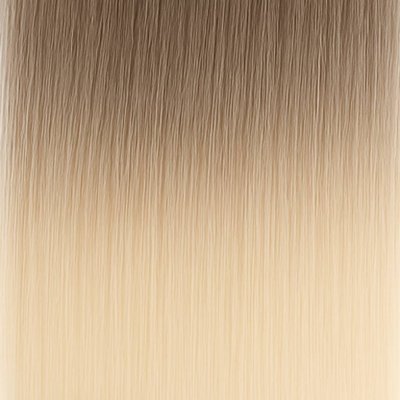 #11/1001 Balayage (Swatch)
