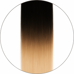 Balayage #1/6001, 50cm, 110g, Klipsipidennykset