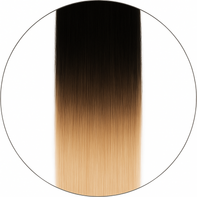 Balayage #1/6001, 50cm, 110g, Klipsipidennykset